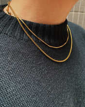 Load image into Gallery viewer, Snake necklace (gold)
